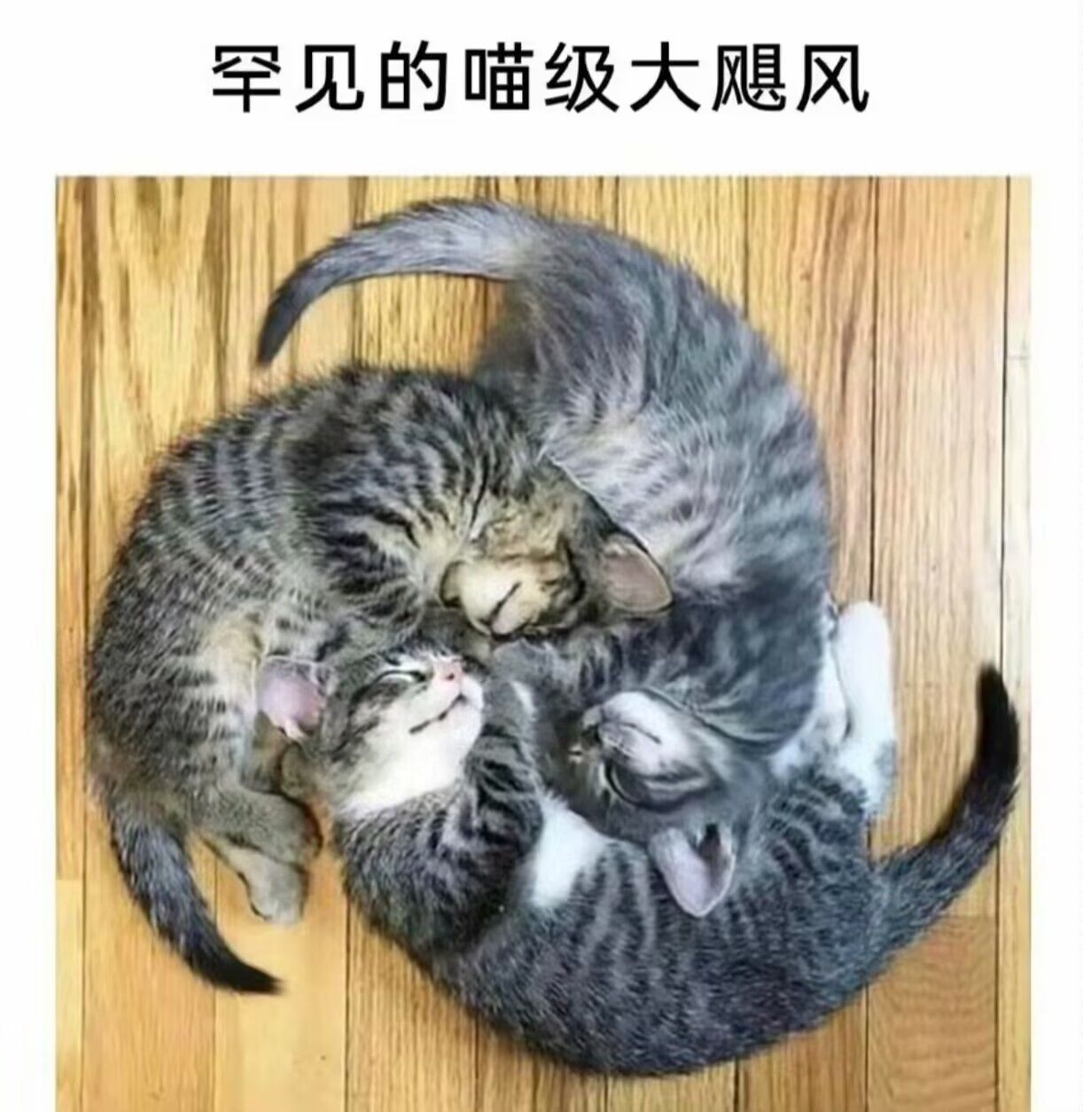 /static/6499a2130a17d679922b81b2c9d95ce8e0610cc4db8d003cf888500b31f1d0d0.jpg