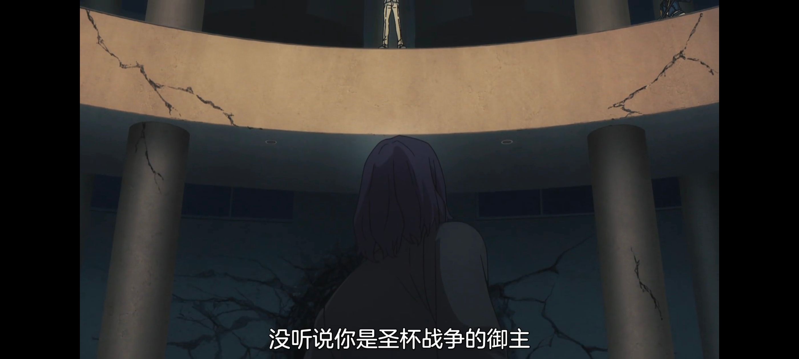 命运奇异赝品,FatestrangeFake,动画,动漫,番剧,ACG