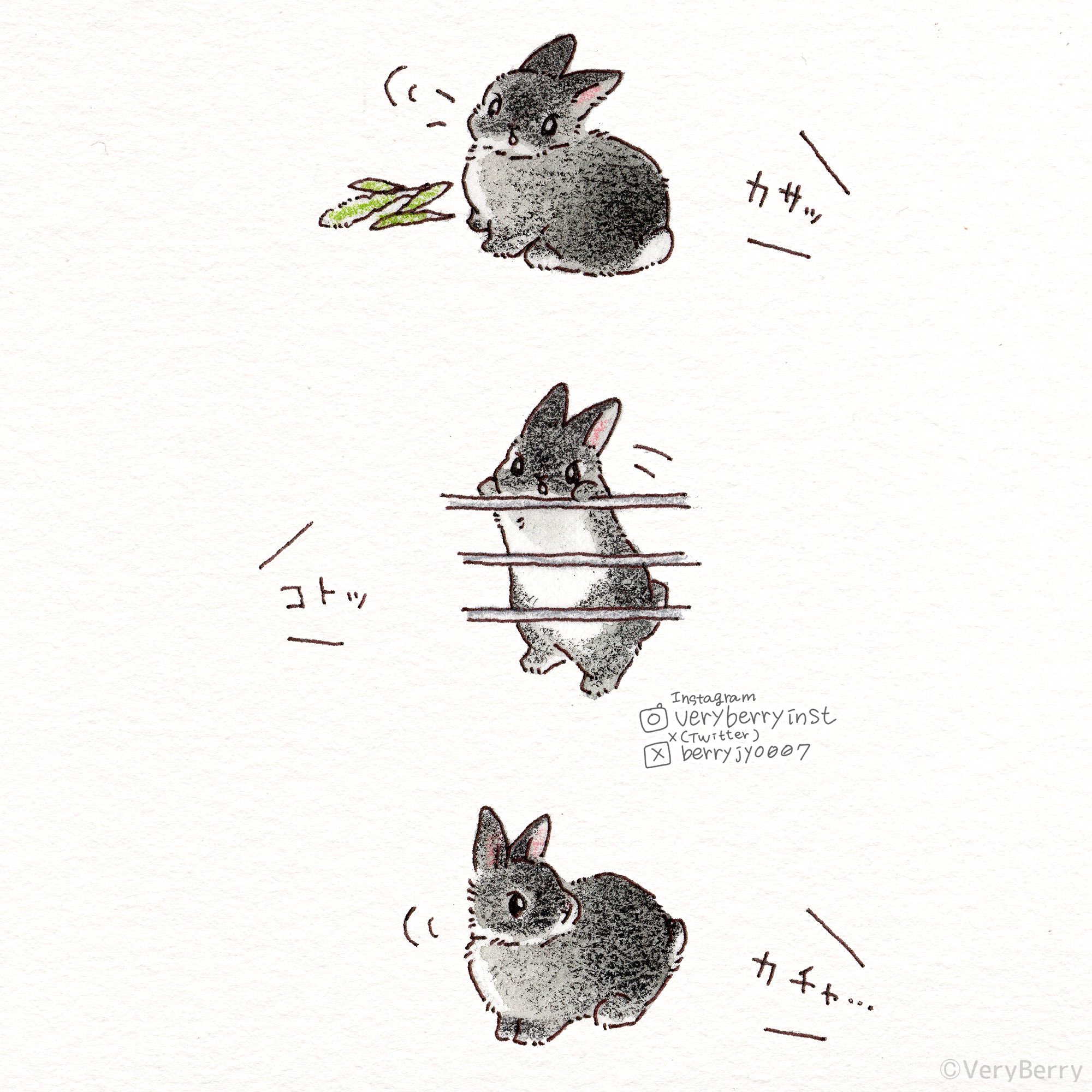 pixiv,萌宠,兔子,漫画
