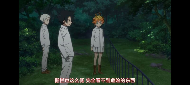 约定的梦幻岛,动画,动漫,番剧,ACG