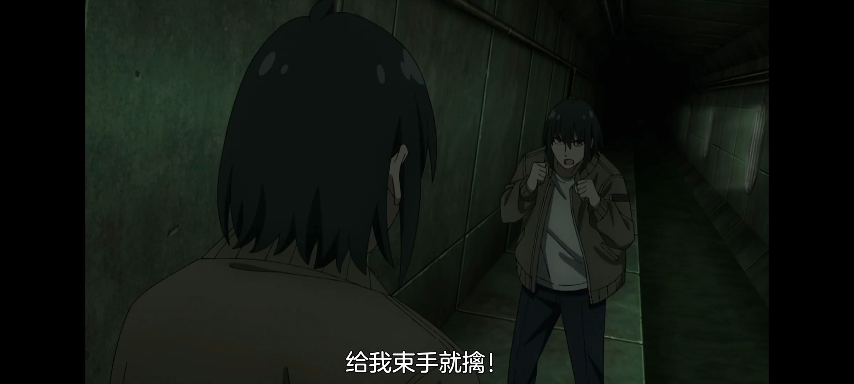 间谍过家家,SPYFAMILY,动画,动漫,番剧,ACG