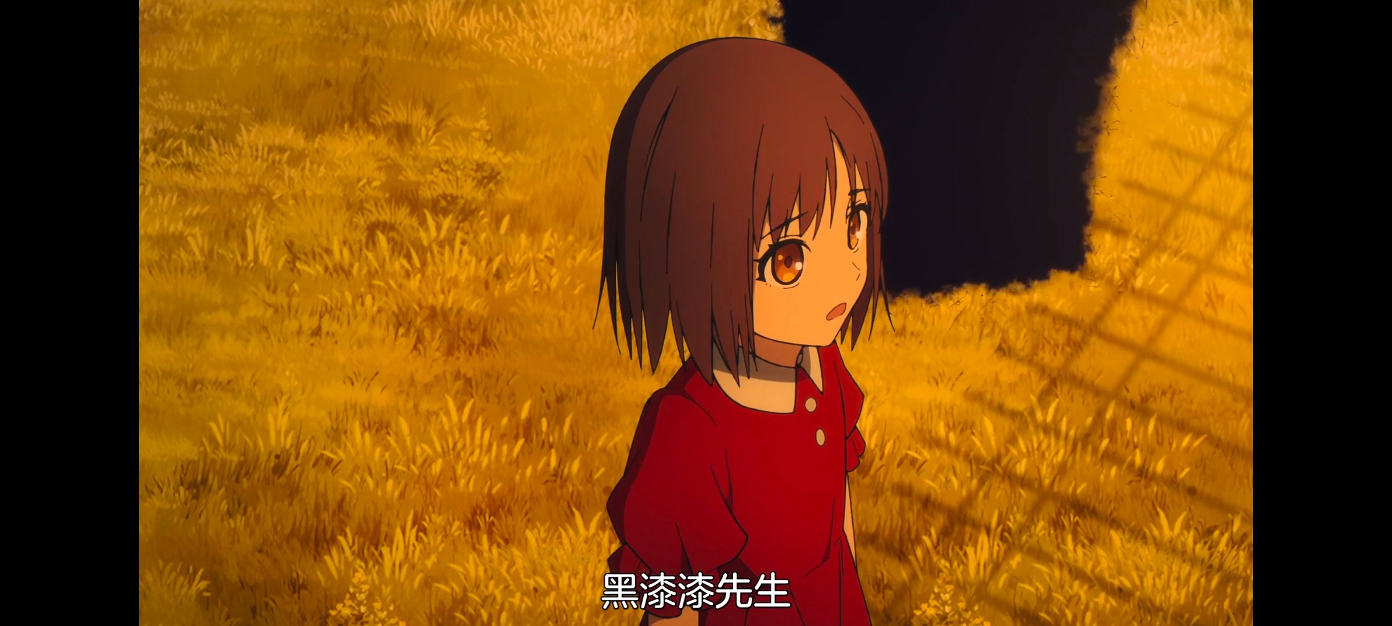 命运奇异赝品,FatestrangeFake,动画,动漫,番剧,ACG