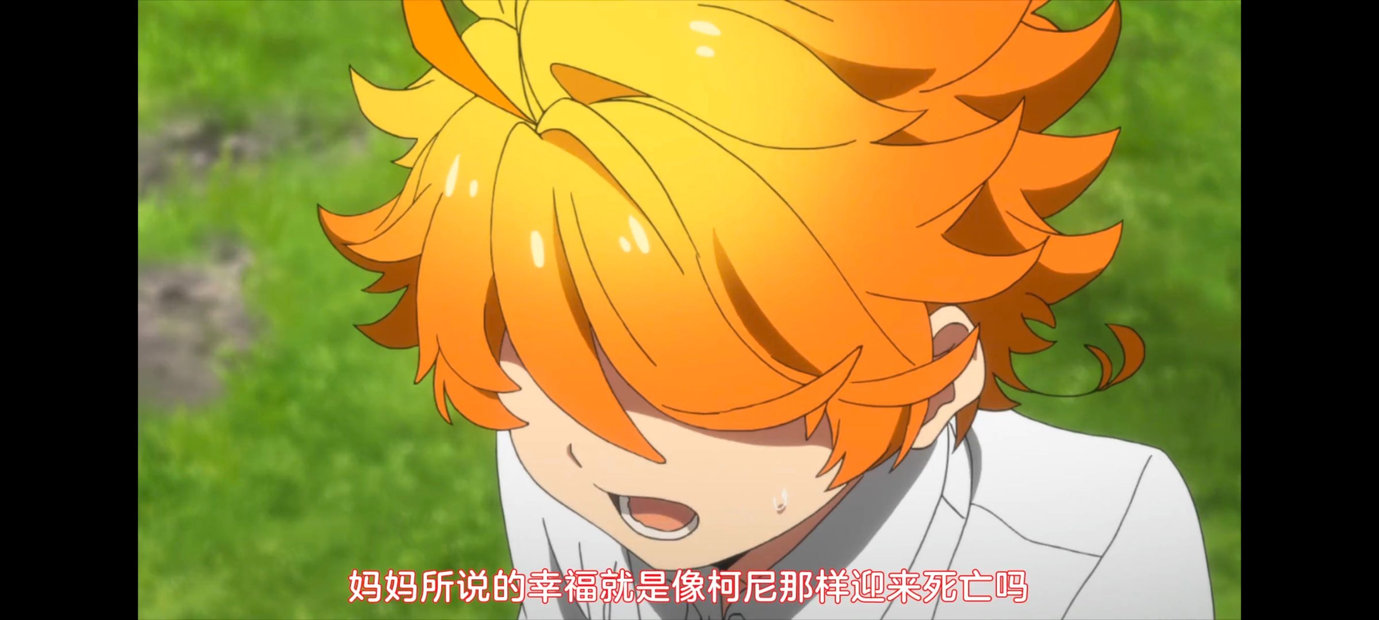 约定的梦幻岛,动画,动漫,番剧,二次元,ACG