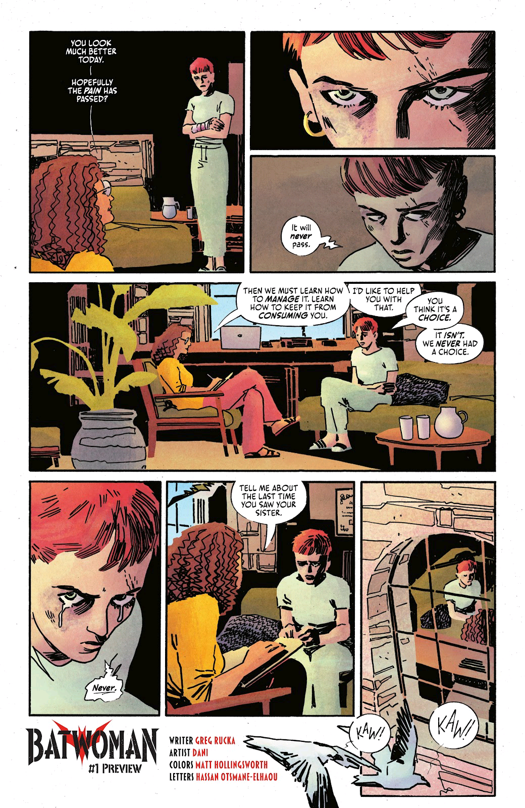 DC,DC漫画,美漫,漫画,动漫,超级英雄,蝙蝠侠,小丑,绘画,ACG