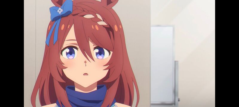 赛马娘,赛马娘PrettyDreby,芦毛灰姑娘,赛马娘芦毛灰姑娘,动画,动漫,番剧,ACG