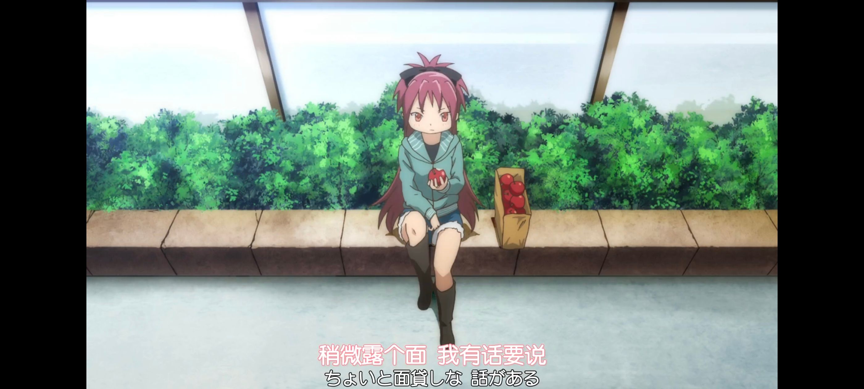 魔法少女小圆,魔法少女,动画,动漫,番剧,二次元,ACG