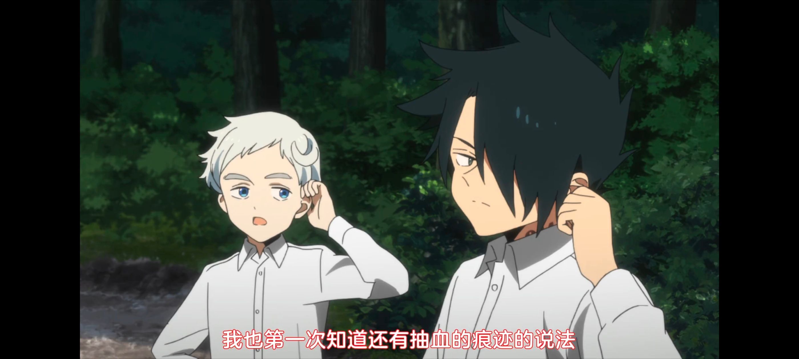 约定的梦幻岛,动画,动漫,番剧,ACG