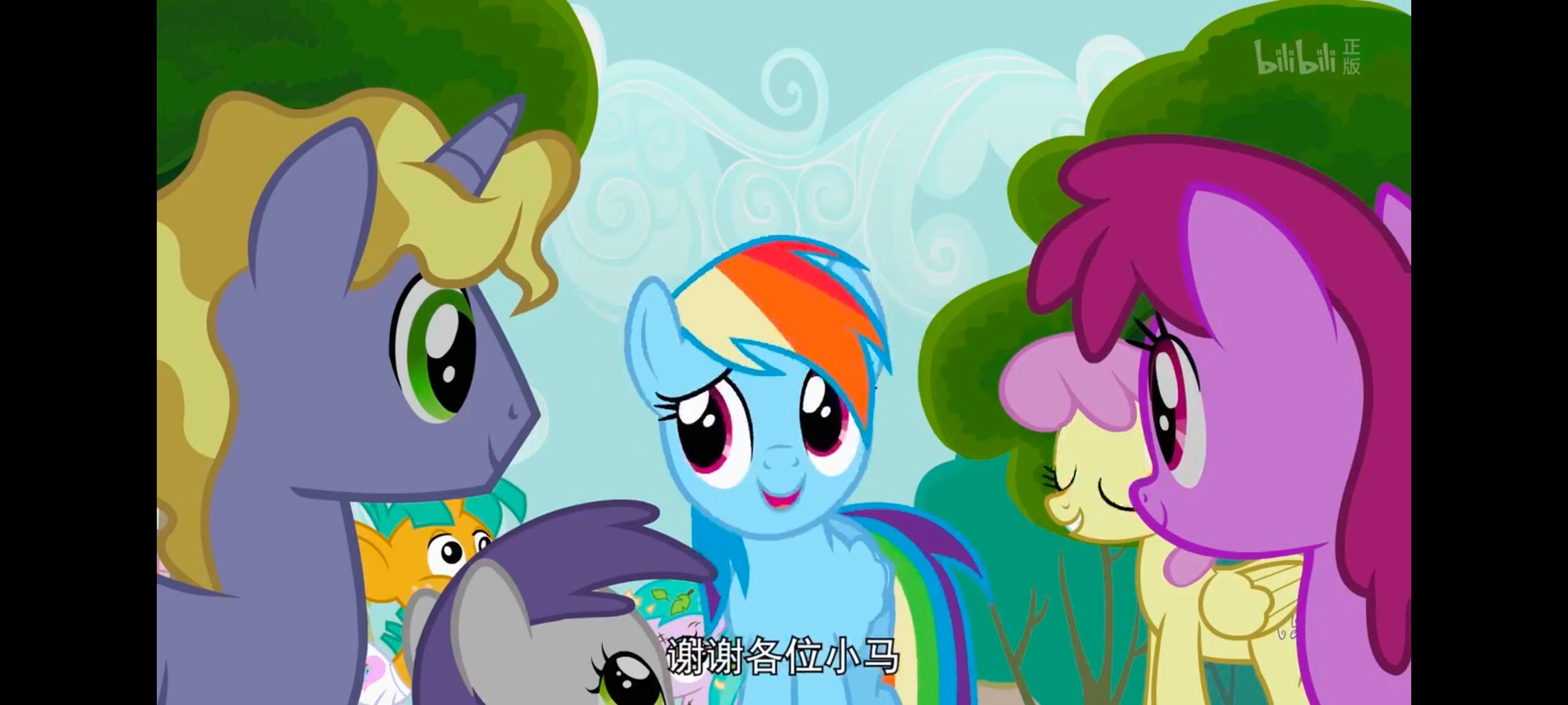 小马宝莉,彩虹小马,我的小马驹,动画,动漫,番剧,ACG