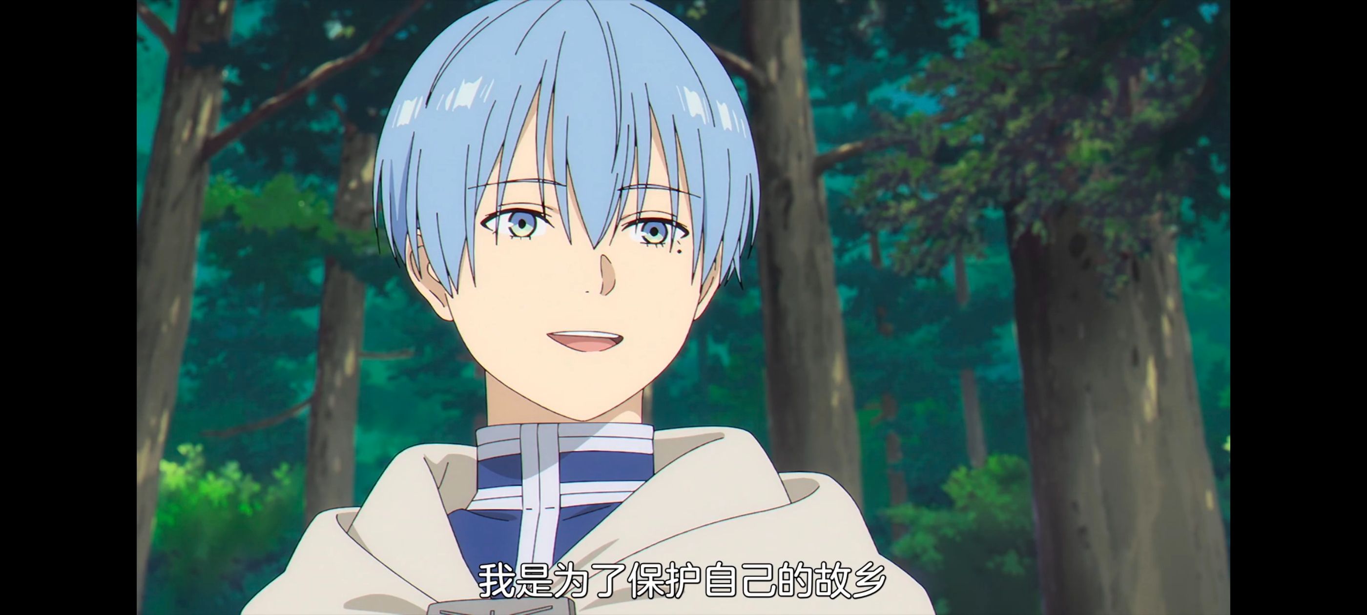 葬送的芙莉莲,动画,动漫,番剧,ACG