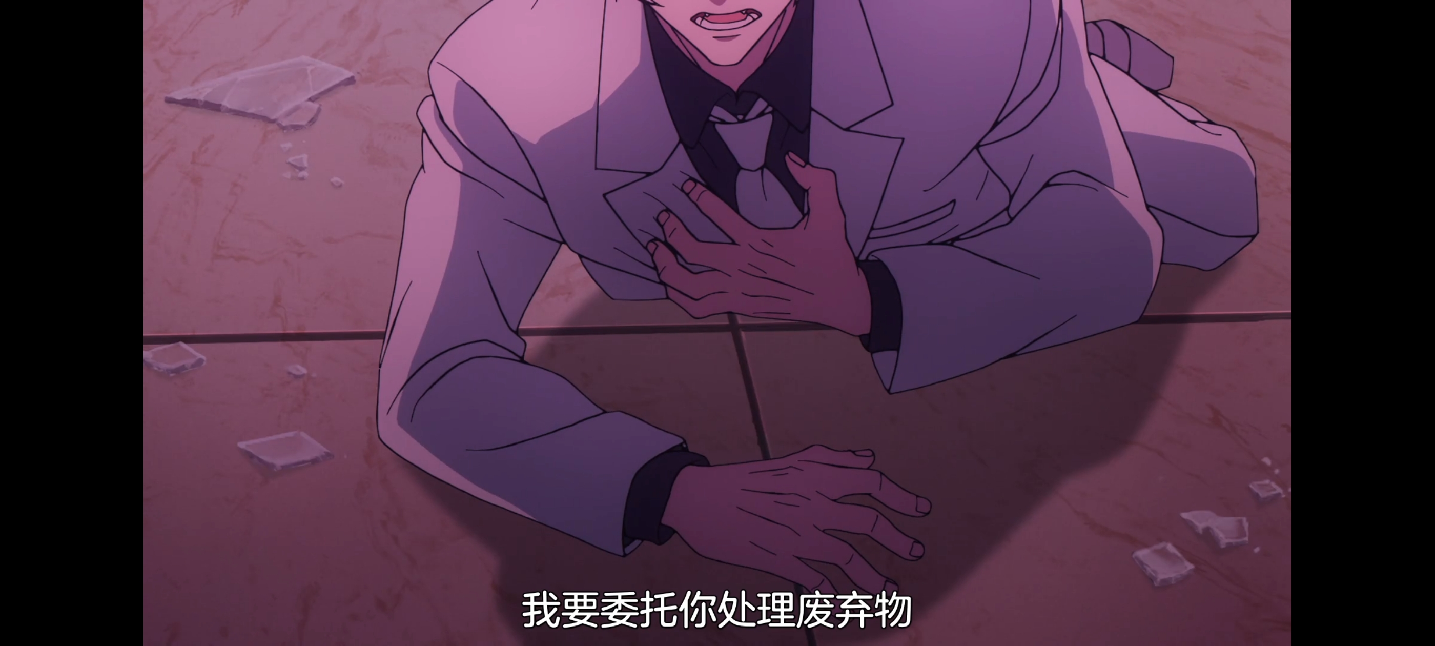 FATE,命运奇异赝品,FatestrangeFake,动画,动漫,番剧,二次元,ACG