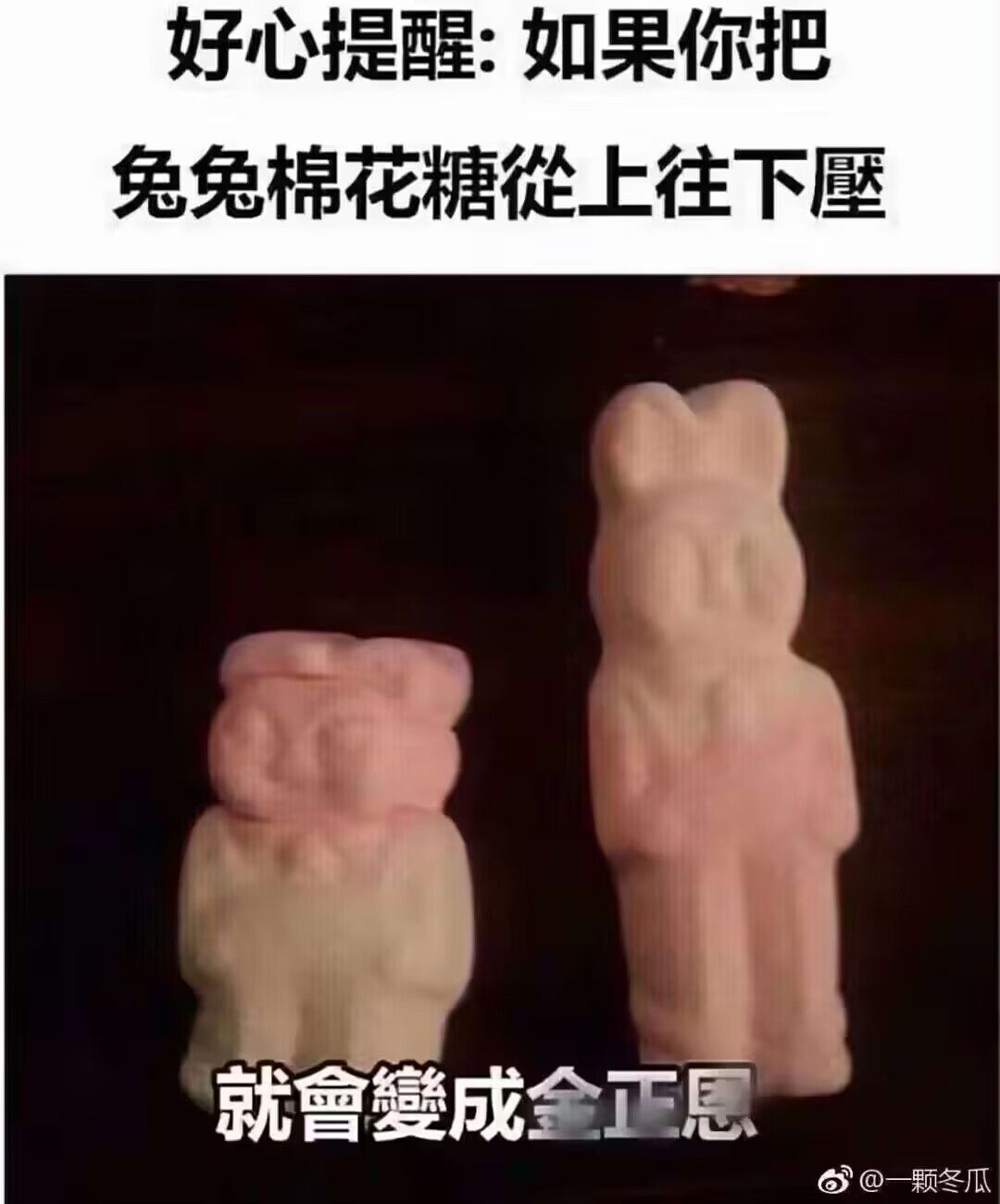 弔图,meme,涩图