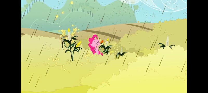 小马宝莉,小马宝莉友谊魔法,彩虹小马,我的小马驹,动画,动漫,番剧,ACG