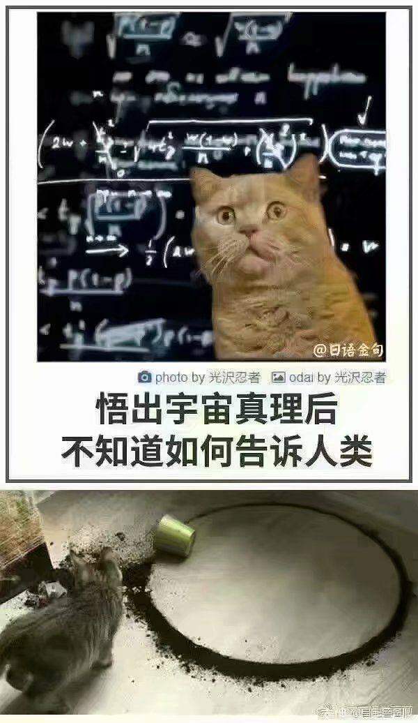 /static/6654f504a6dbb7e536b9a38560bf4caad40e1ab5be6726ccdfdb38f589263cdf.jpg