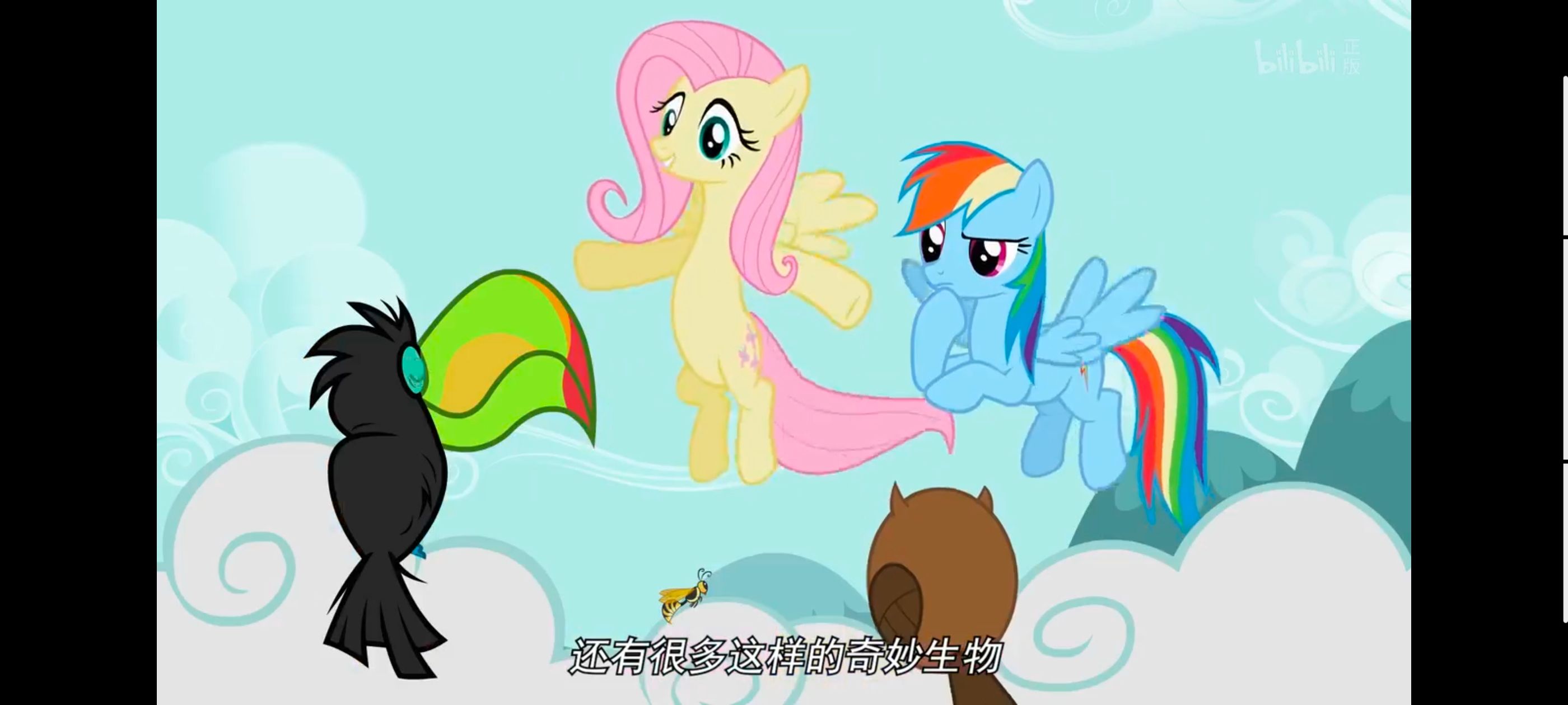 小马宝莉,彩虹小马,我的小马驹,动画,动漫,番剧,二次元,ACG