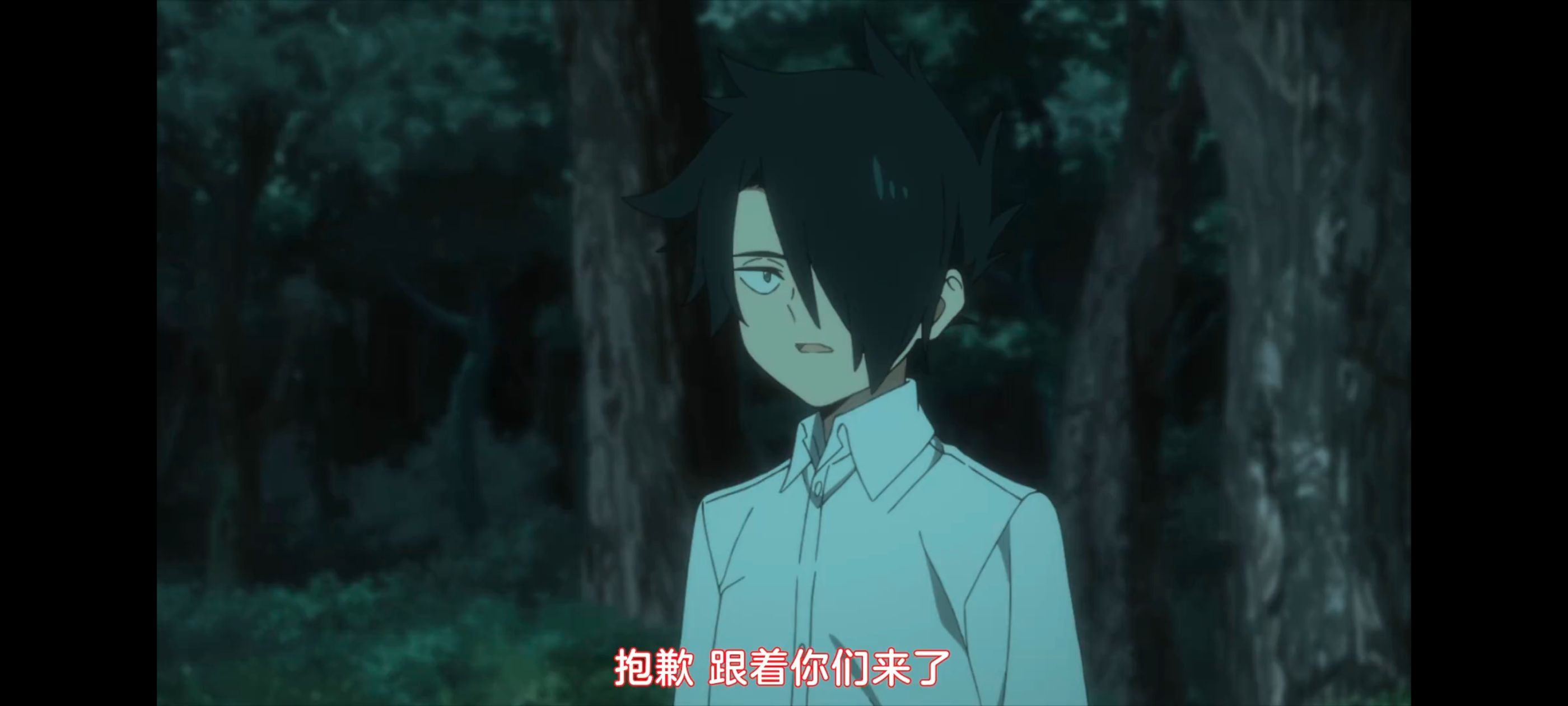 约定的梦幻岛,动画,动漫,番剧,ACG