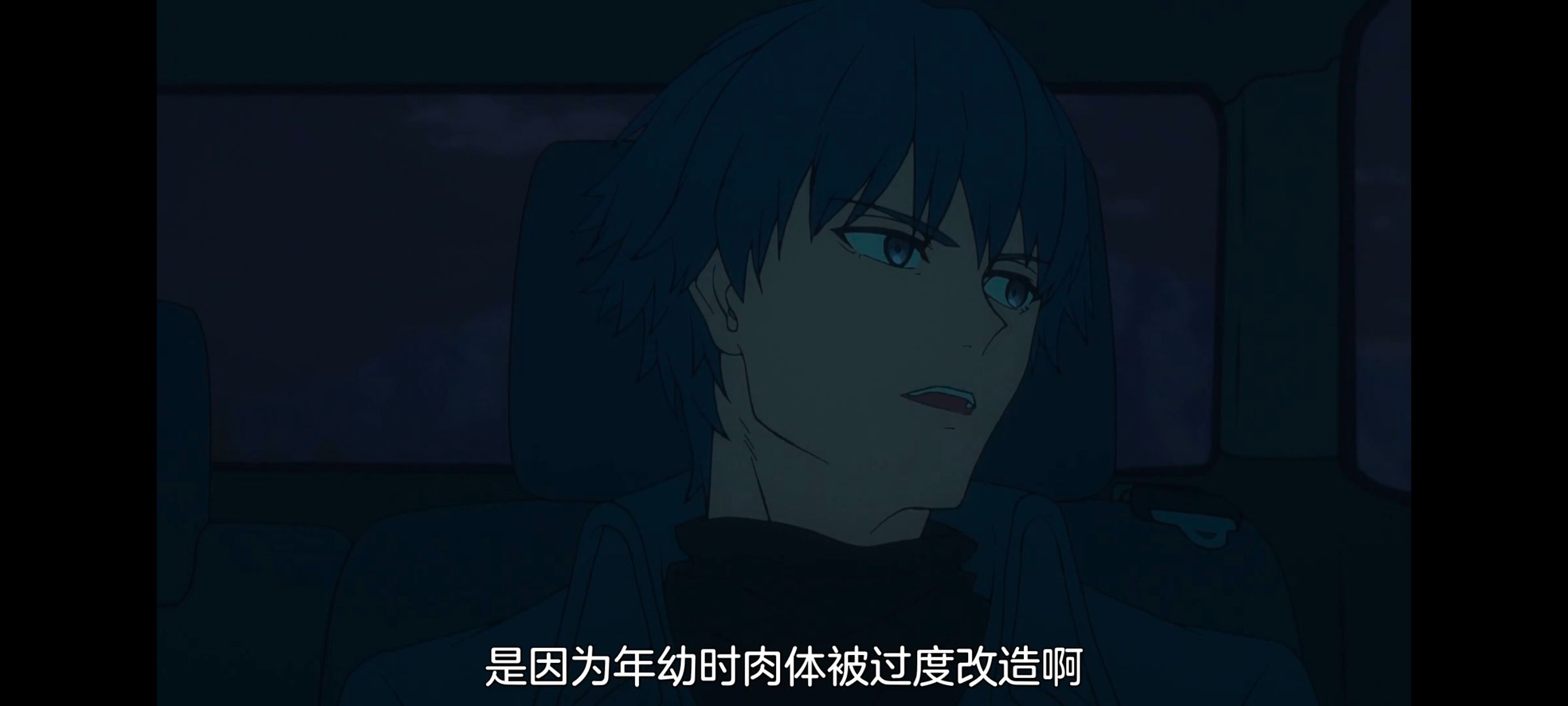 命运奇异赝品,FatestrangeFake,动画,动漫,番剧,ACG