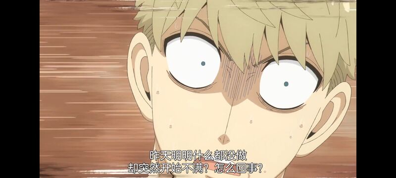 间谍过家家,SPYFAMILY,动画,动漫,番剧,ACG