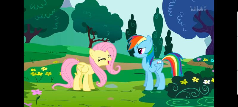 小马宝莉,小马宝莉友谊魔法,彩虹小马,我的小马驹,动画,动漫,番剧,ACG