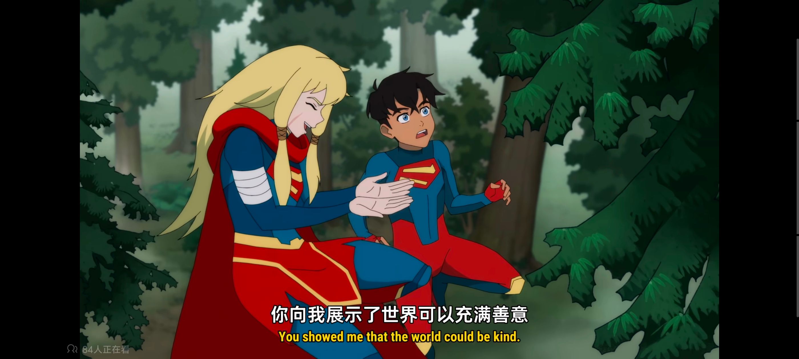 我与超人的冒险,超级英雄,美漫,动画,动漫,DC,番剧,二次元,ACG