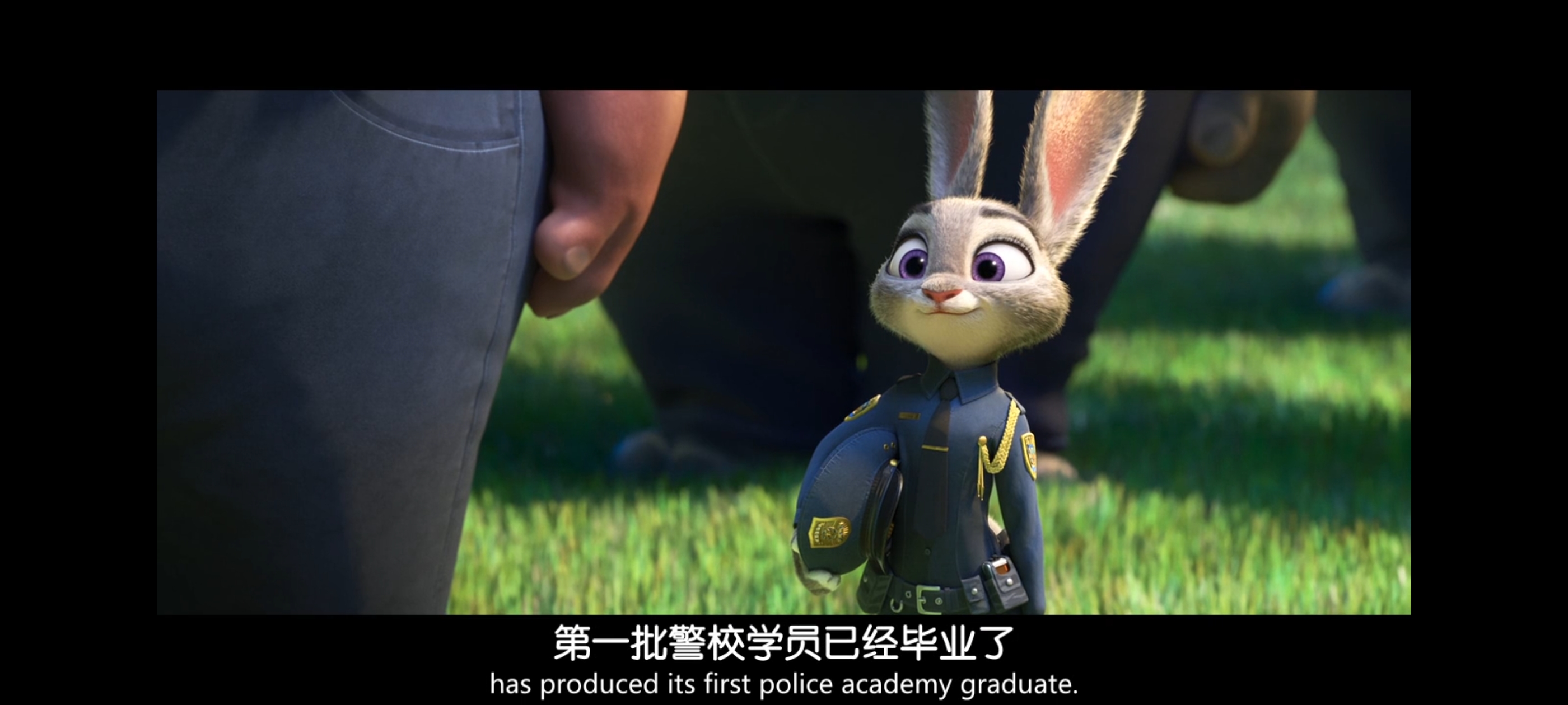 疯狂动物城,动画电影,动漫,动画,电影,二次元,ACG