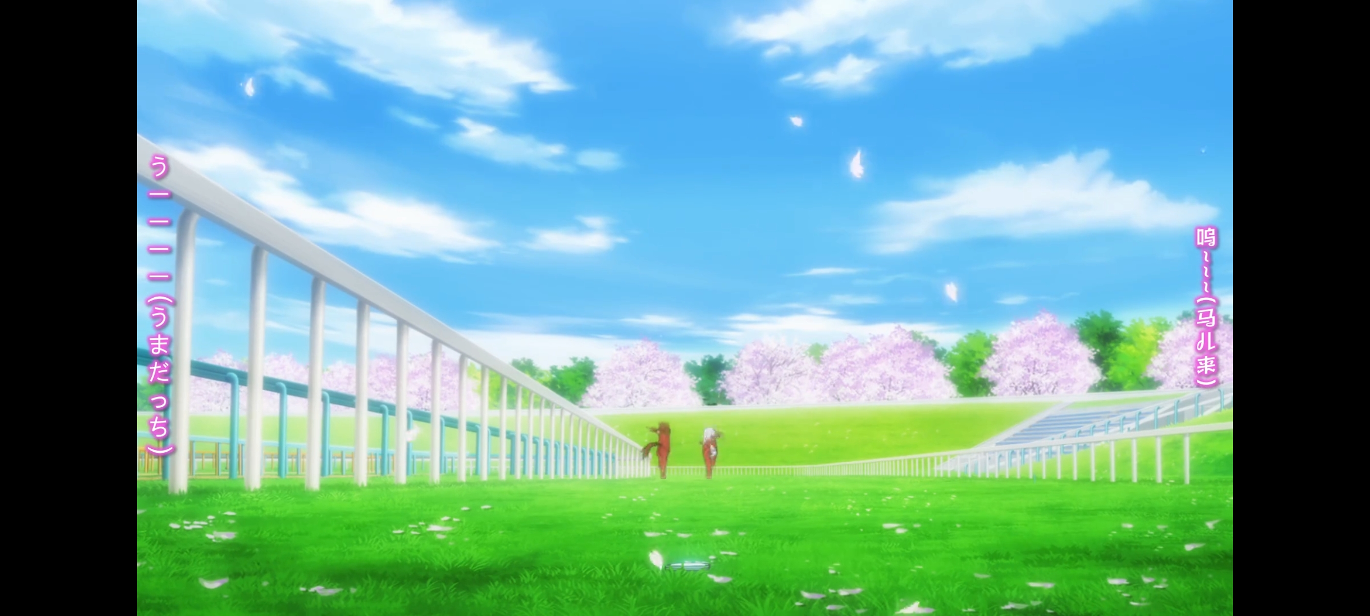 赛马娘,赛马娘第二季,动画,动漫,番剧,赛马娘PrettyDerby,二次元,ACG