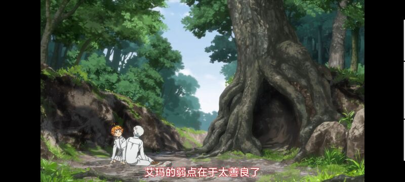 约定的梦幻岛,动画,动漫,番剧,ACG