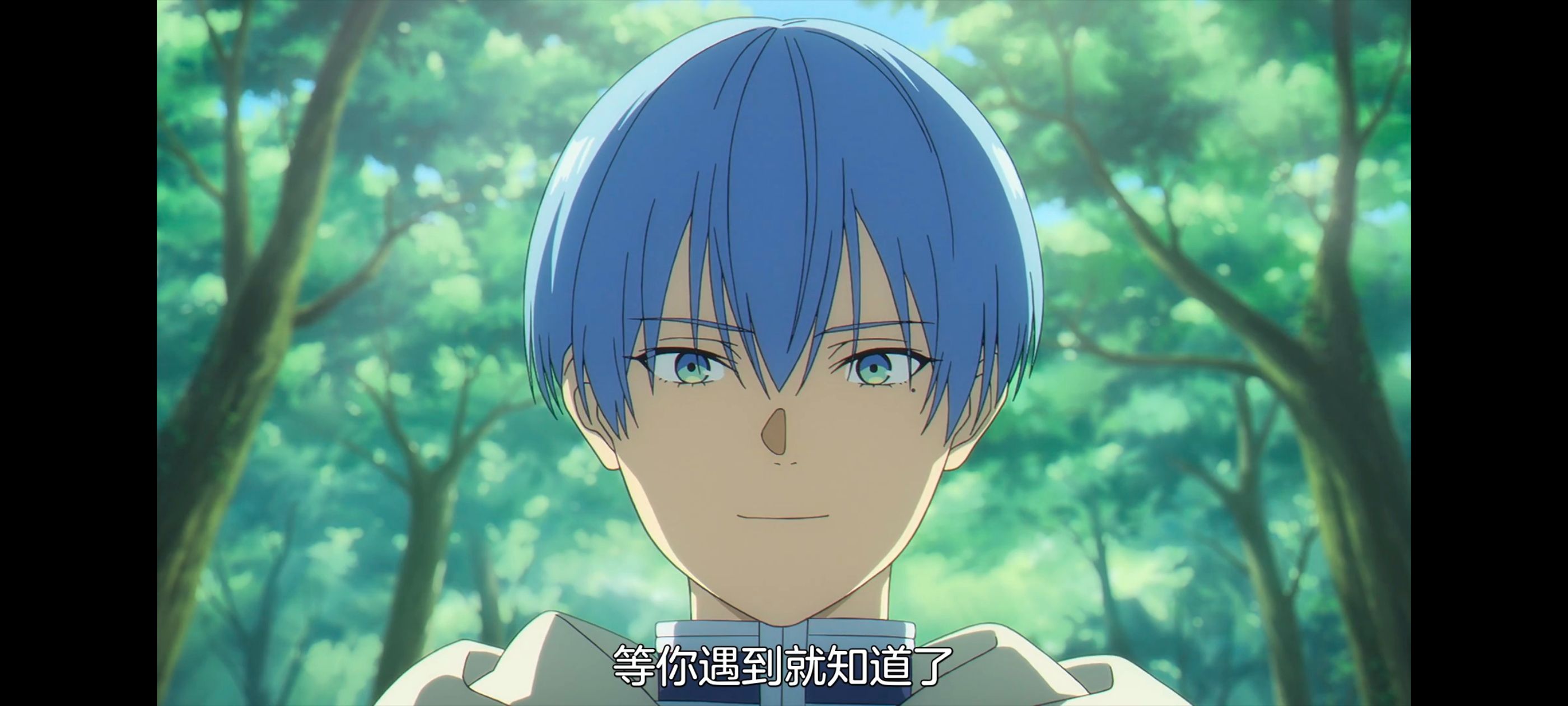 葬送的芙莉莲,动画,动漫,番剧,ACG