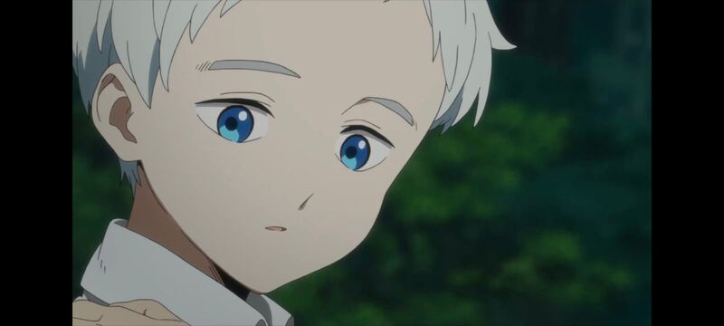 约定的梦幻岛,动画,动漫,番剧,ACG