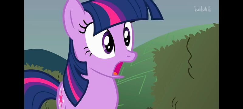 小马宝莉,小马宝莉友谊魔法,彩虹小马,我的小马驹,动画,动漫,番剧,ACG