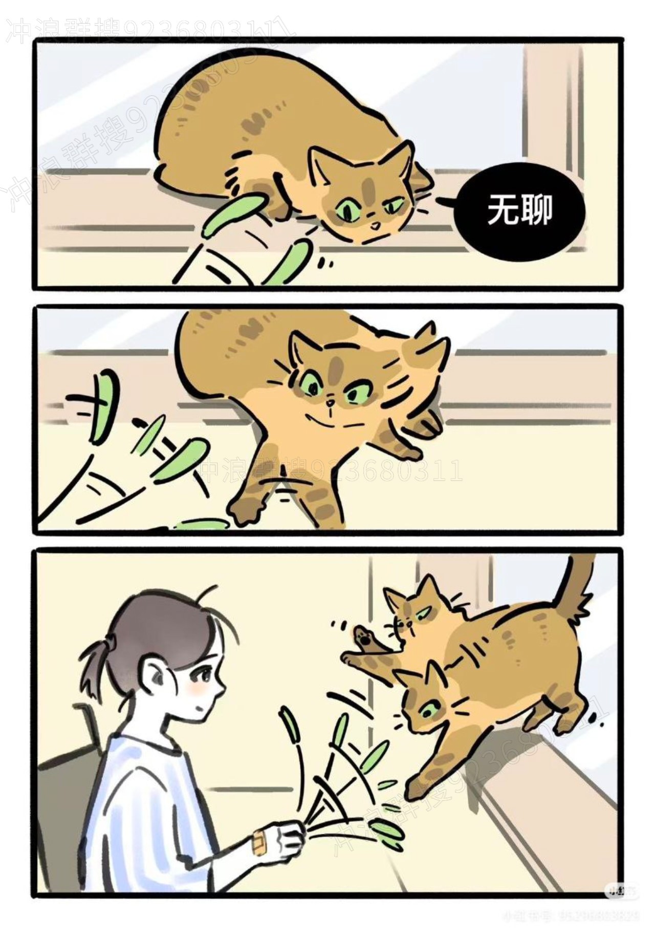 猫,故事