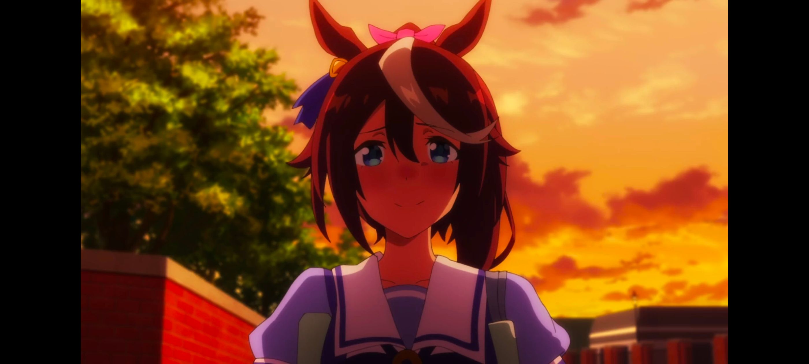 赛马娘,赛马娘PrettyDerby,赛马娘第二季,番剧,动画,动漫,二次元,ACG