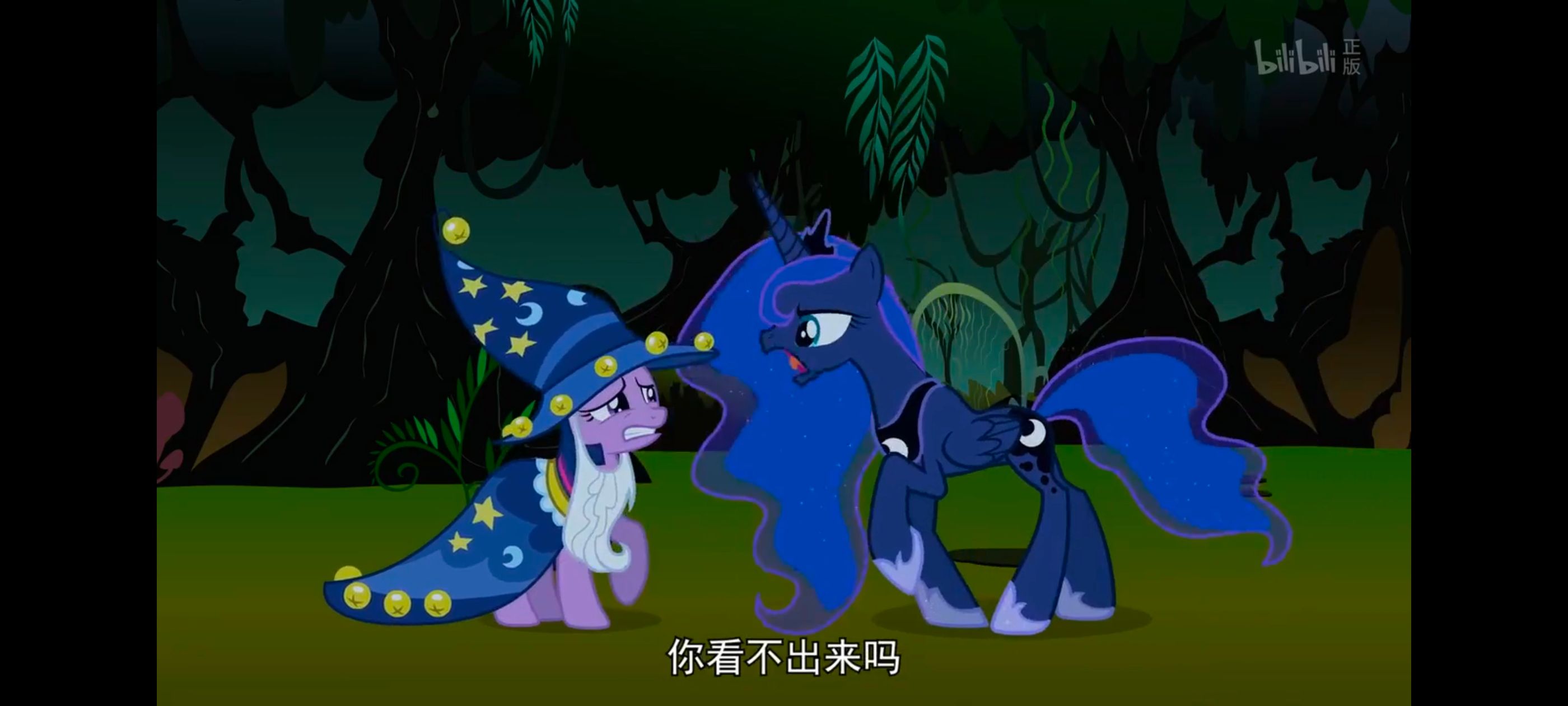 小马宝莉,小马宝莉友谊魔法,彩虹小马,我的小马驹,动漫,动画,番剧,ACG