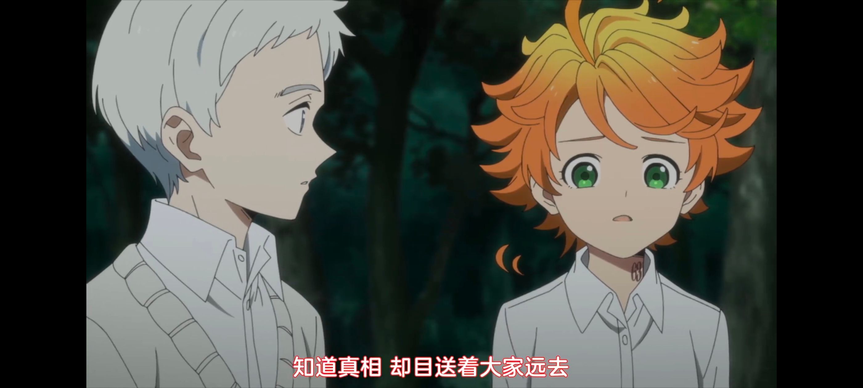 约定的梦幻岛,动画,动漫,番剧,ACG