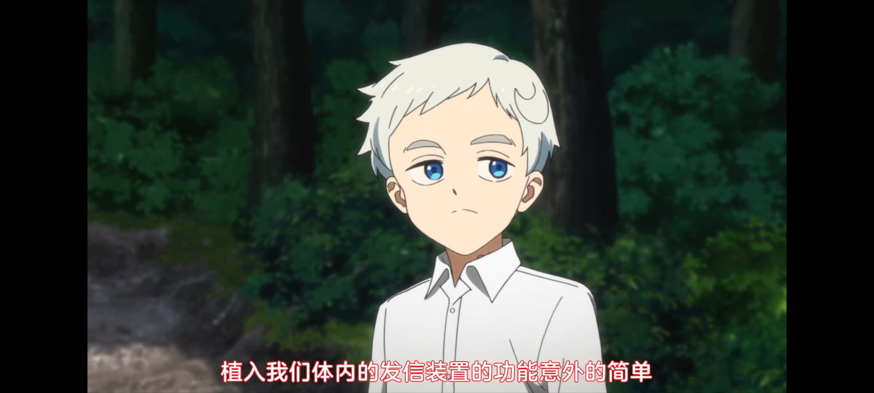 约定的梦幻岛,动画,动漫,番剧,ACG