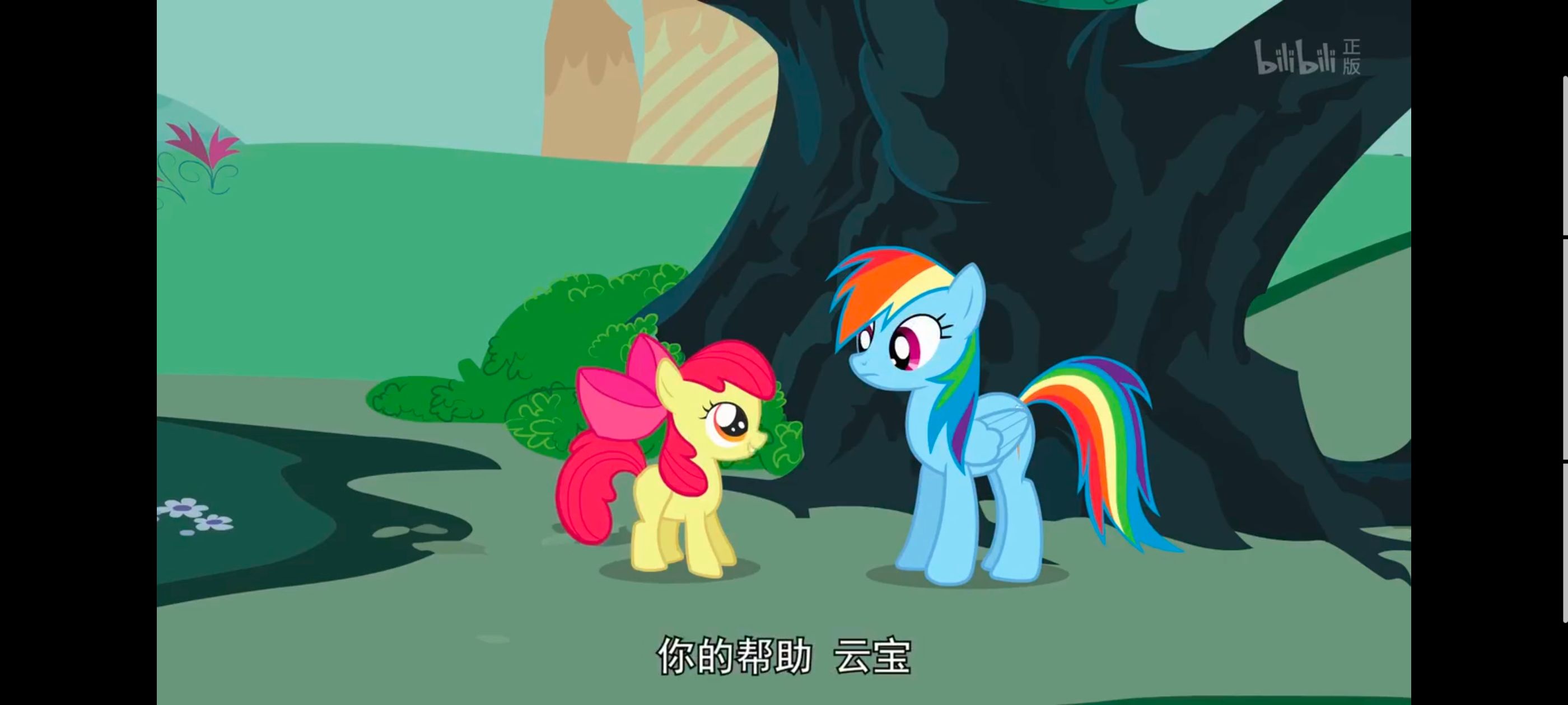 小马宝莉,小马宝莉友谊魔法,彩虹小马,我的小马驹,动画,动漫,番剧,ACG