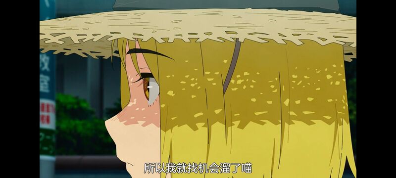 尼古喵喵,雅尼猫,动画,动漫,番剧,日漫,二次元,ACG