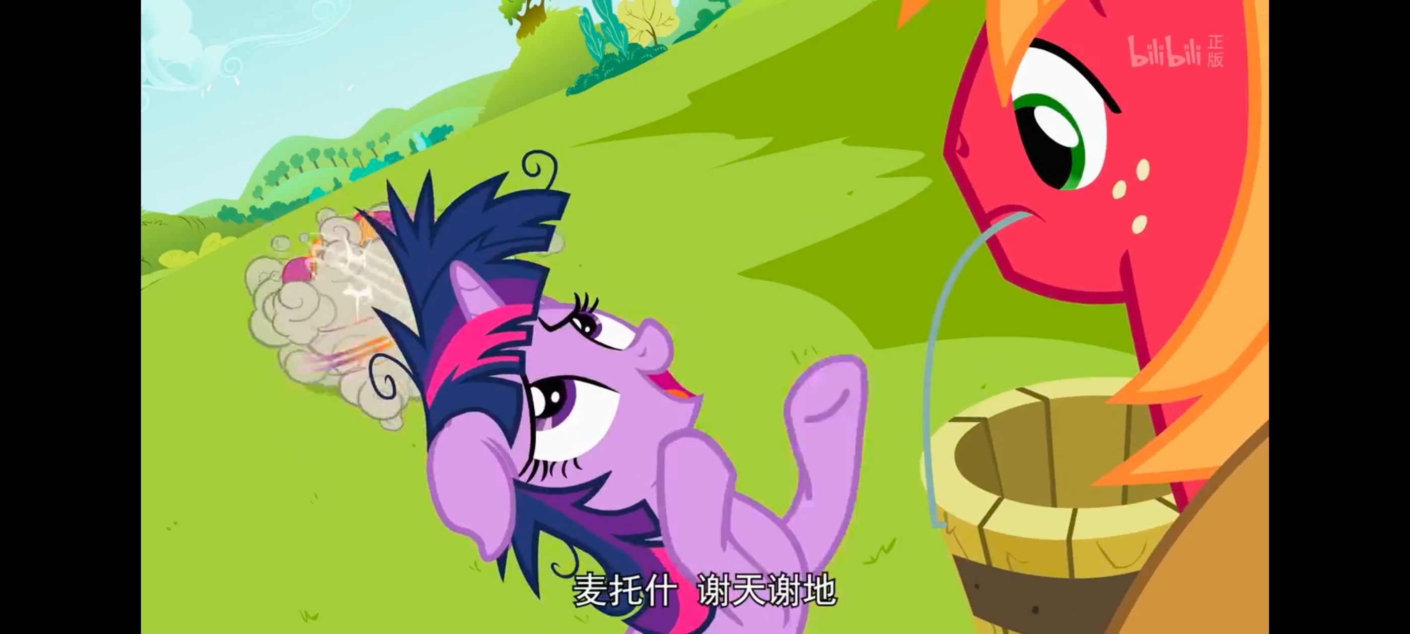 小马宝莉,小马宝莉友谊魔法,彩虹小马,我的小马驹,动画,动漫,番剧,ACG