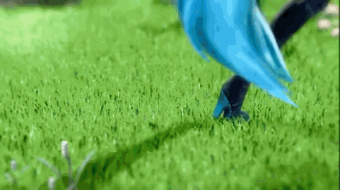 星空,超时空辉夜姬,蓝与白工作室