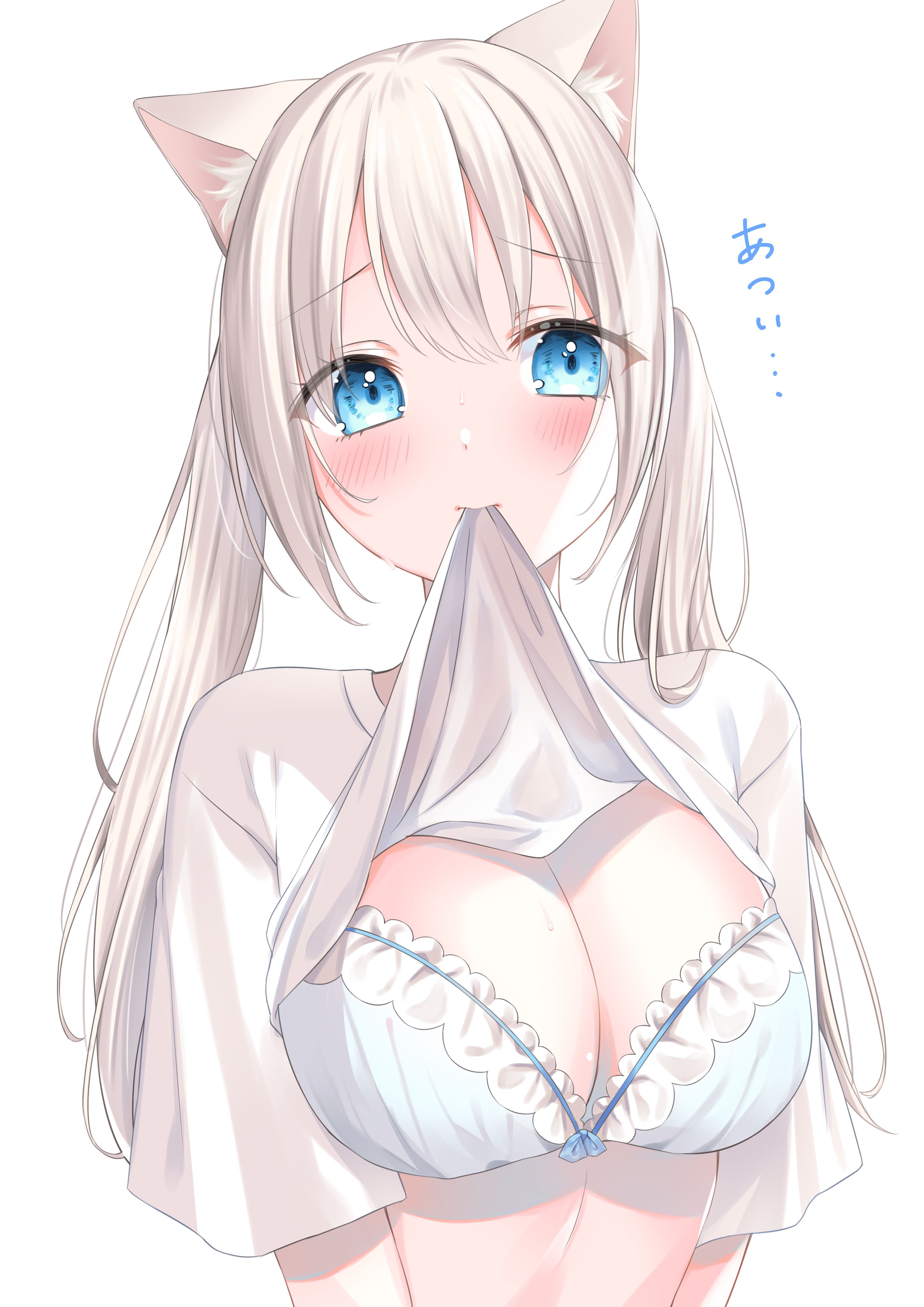 猫娘,涩图,新人,二次元