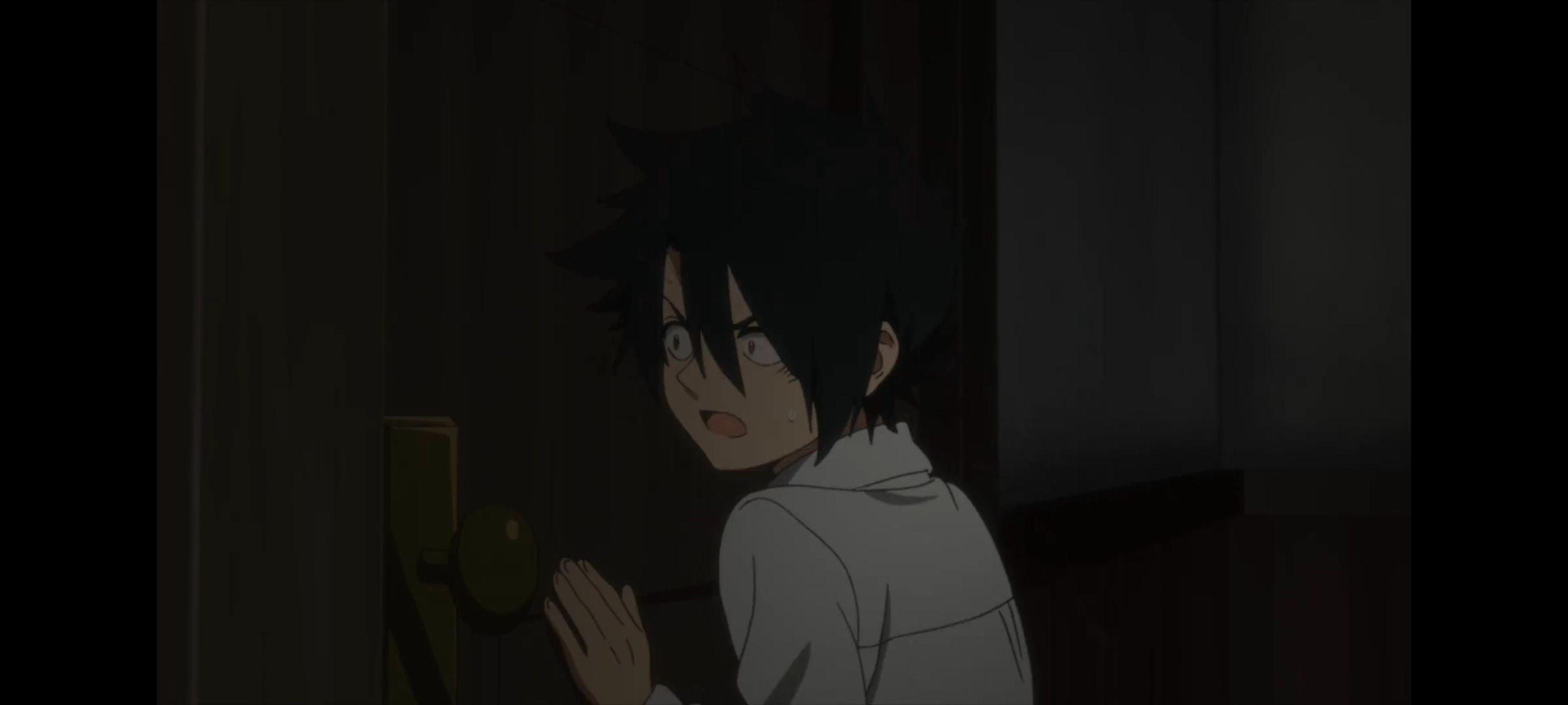 约定的梦幻岛,动画,动漫,番剧,二次元,ACG