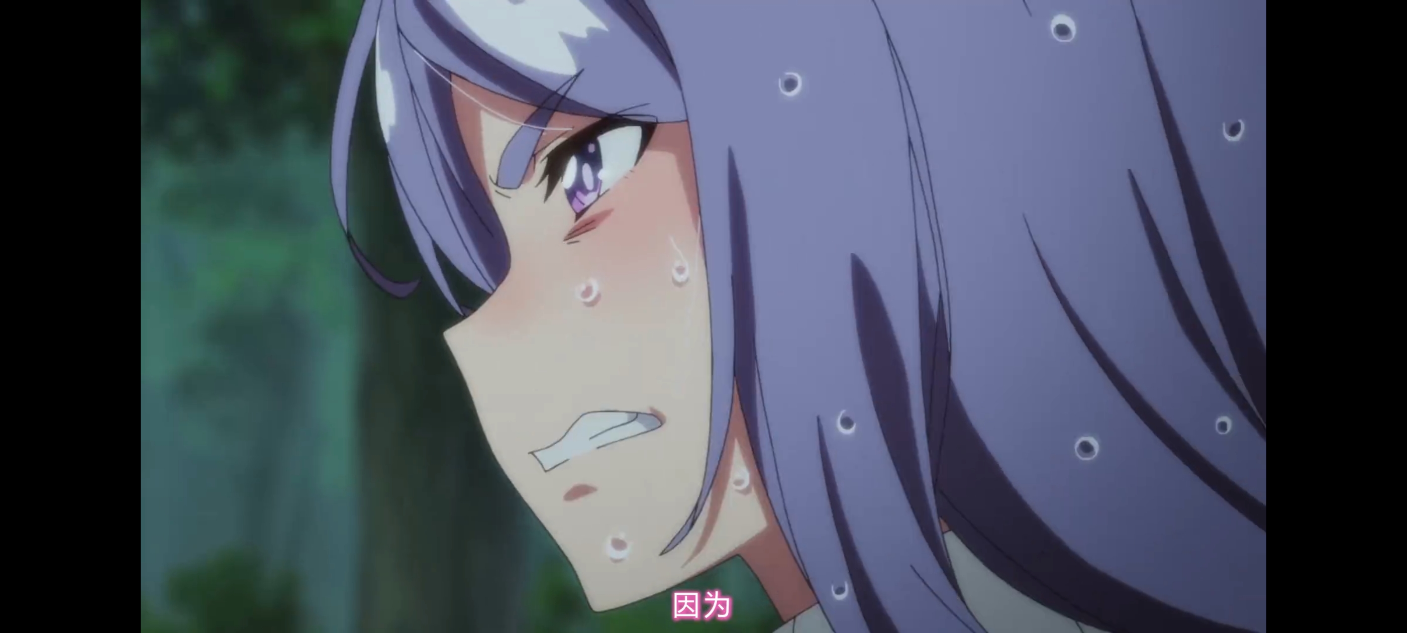 赛马娘,赛马娘第二季,赛马娘PrettyDerby,动画,动漫,番剧,二次元,ACG