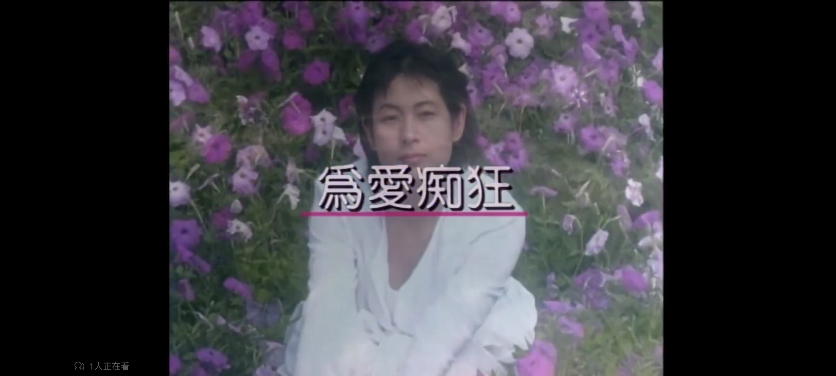 音乐,歌曲,歌手,最喜欢