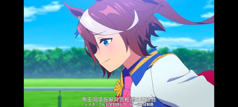 赛马娘,赛马娘PrettyDreby,动画,动漫,番剧,ACG