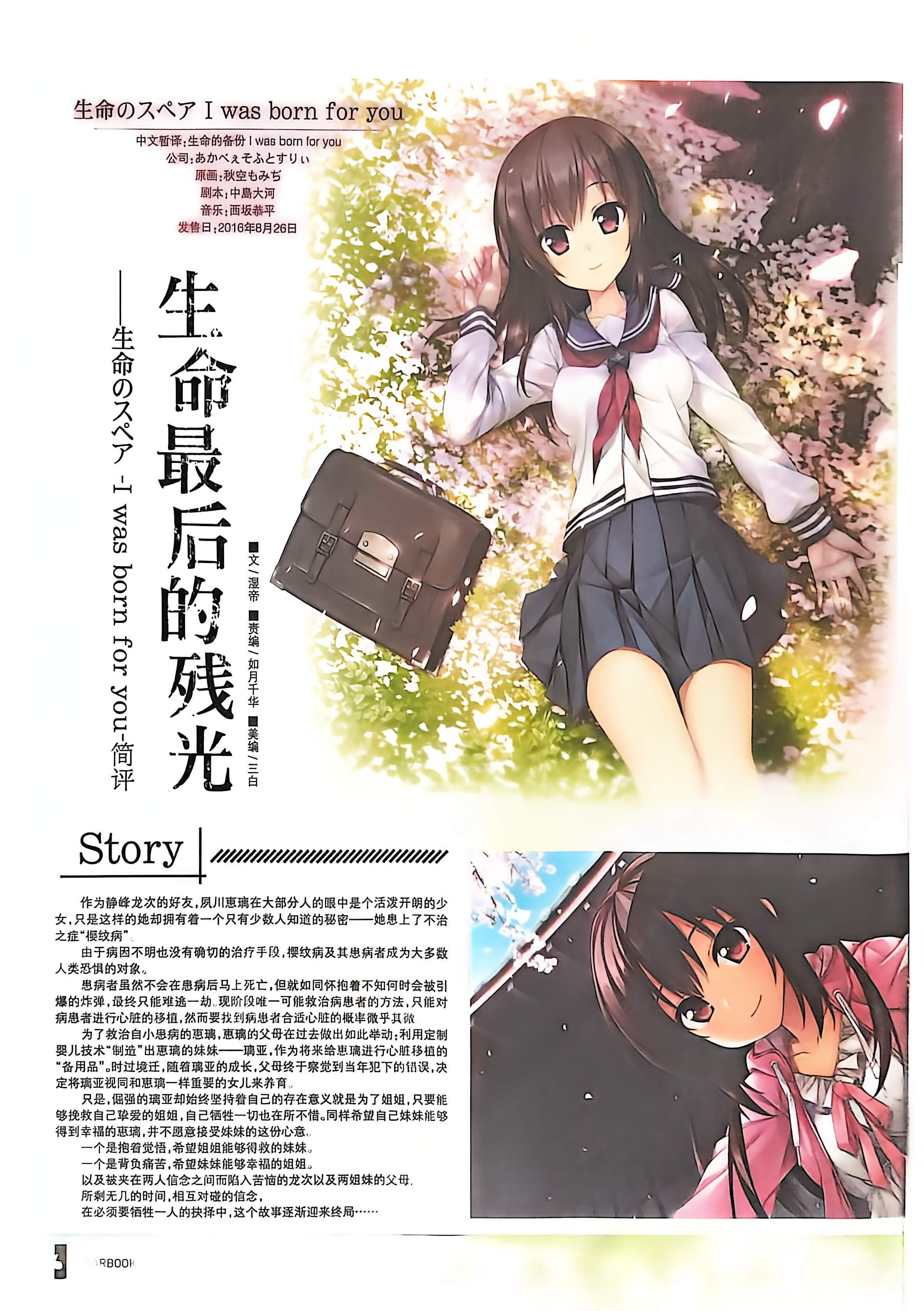 二次元狂热,GALgame,恋爱游戏