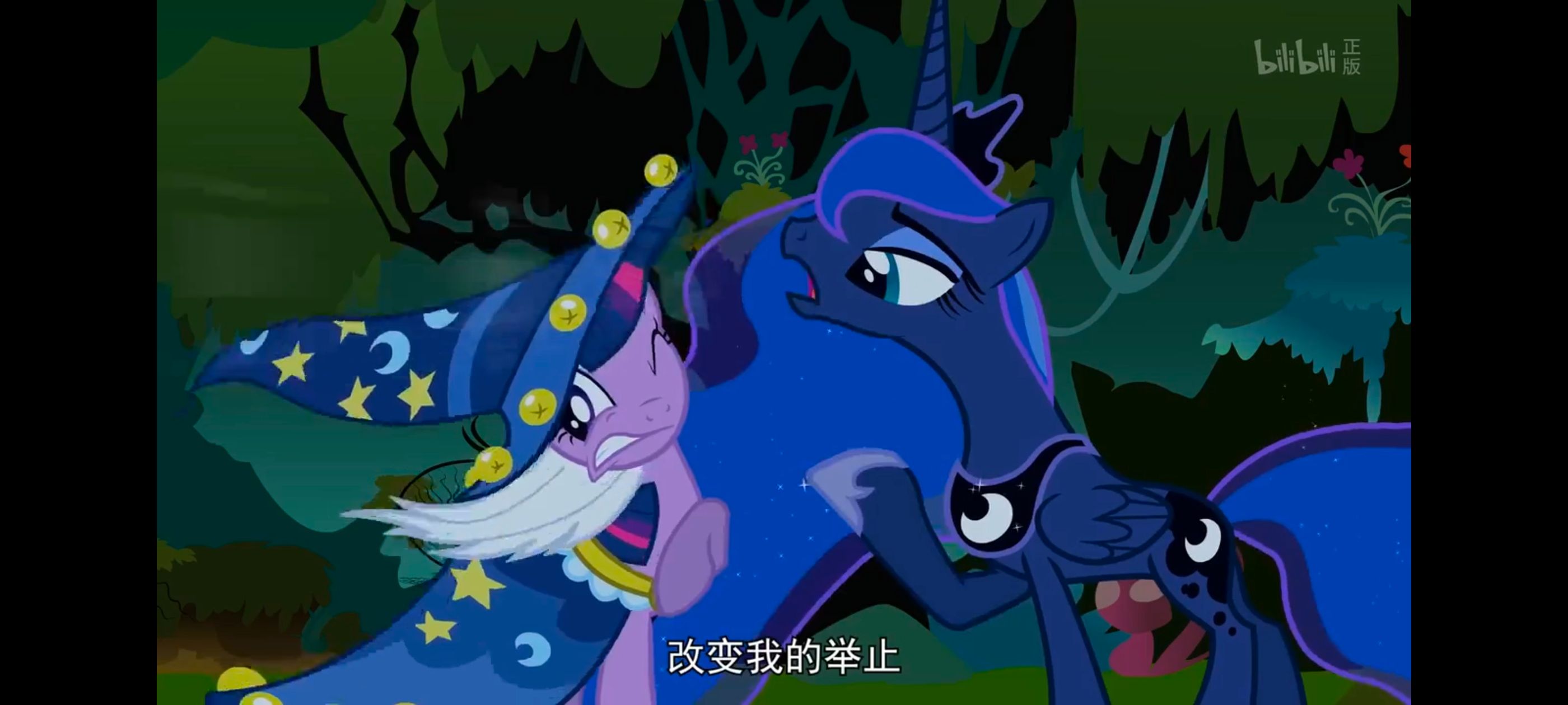 小马宝莉,小马宝莉友谊魔法,彩虹小马,我的小马驹,动漫,动画,番剧,ACG