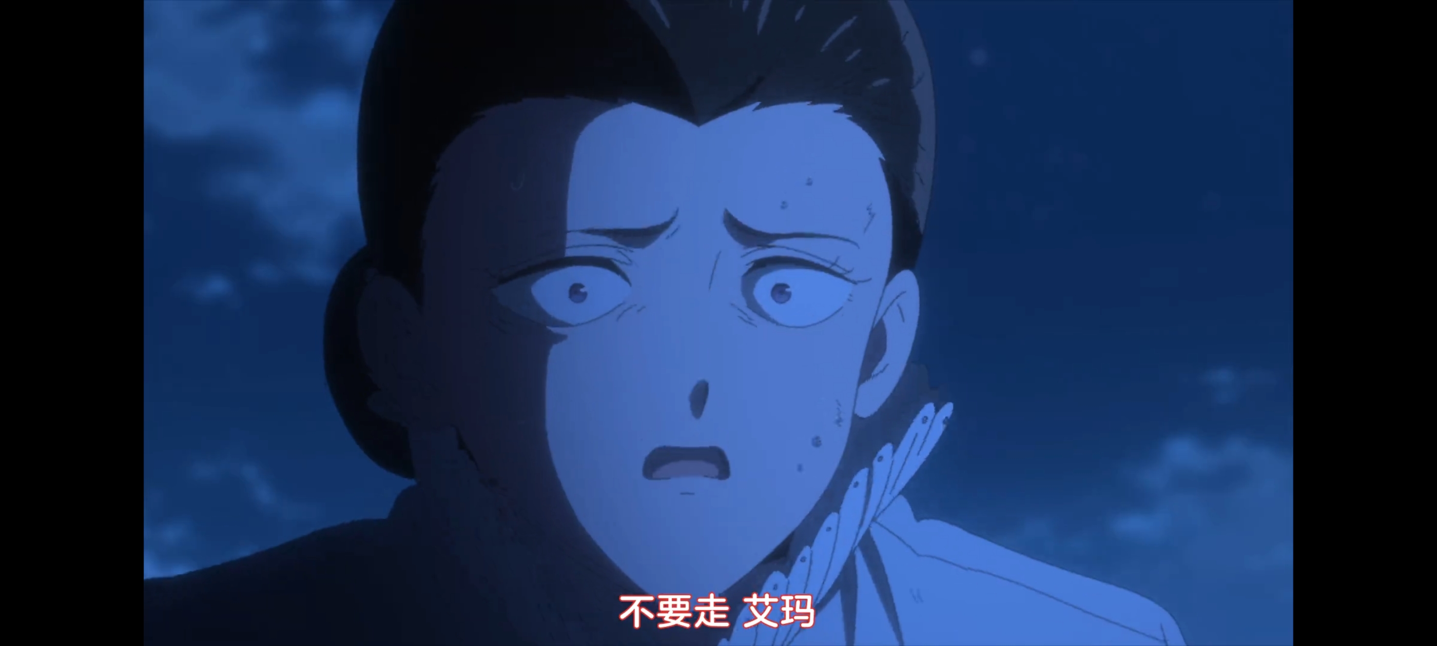 约定的梦幻岛,动画,动漫,番剧,二次元,ACG