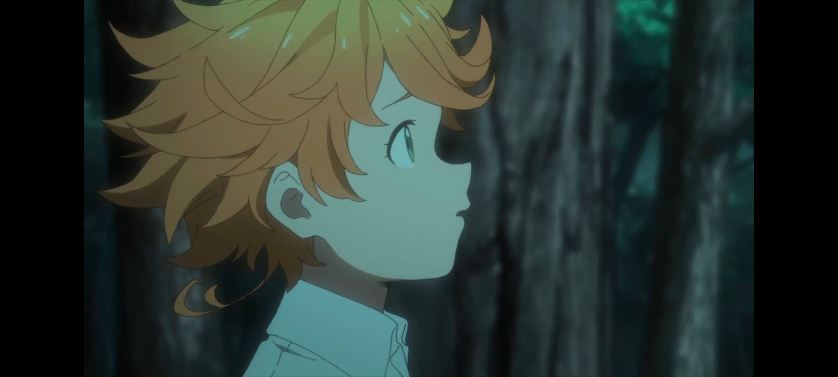 约定的梦幻岛,动画,动漫,番剧,ACG