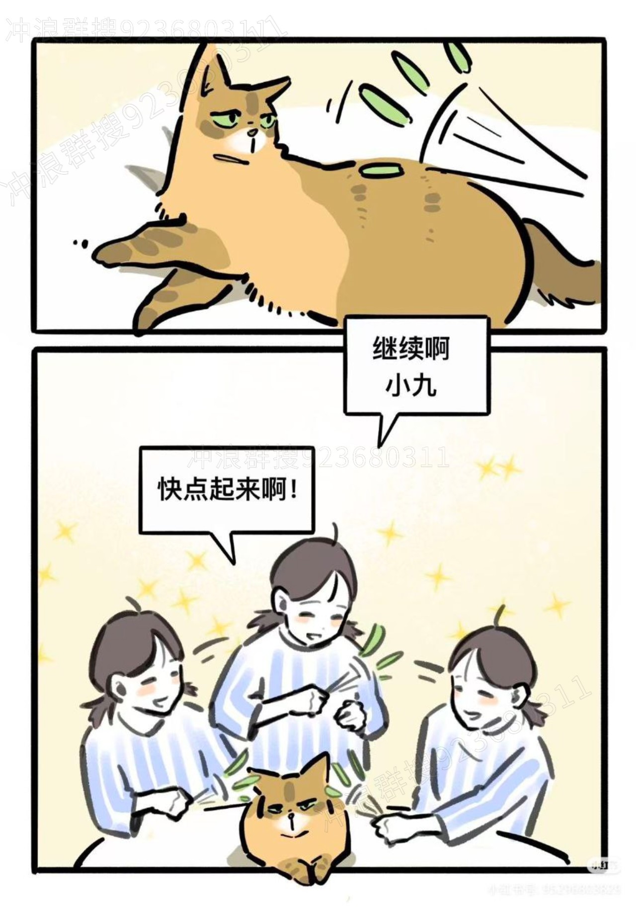 猫,故事