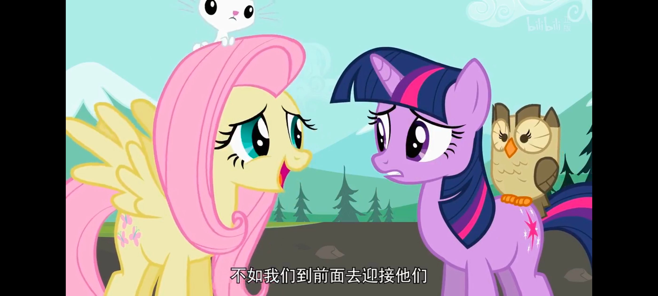 小马宝莉,彩虹小马,我的小马驹,动画,动漫,番剧,二次元,ACG