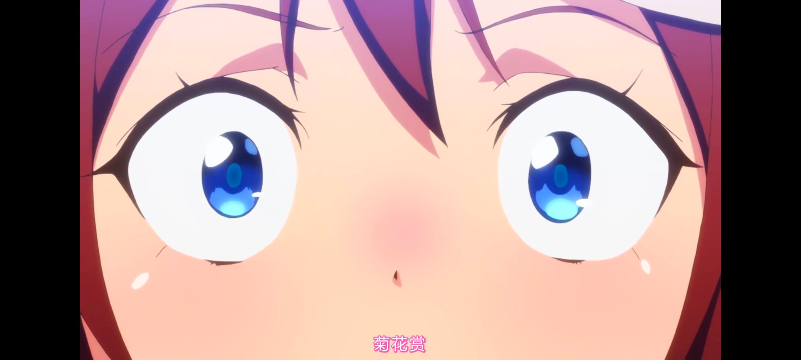 赛马娘,赛马娘第二季,动画,动漫,番剧,ACG